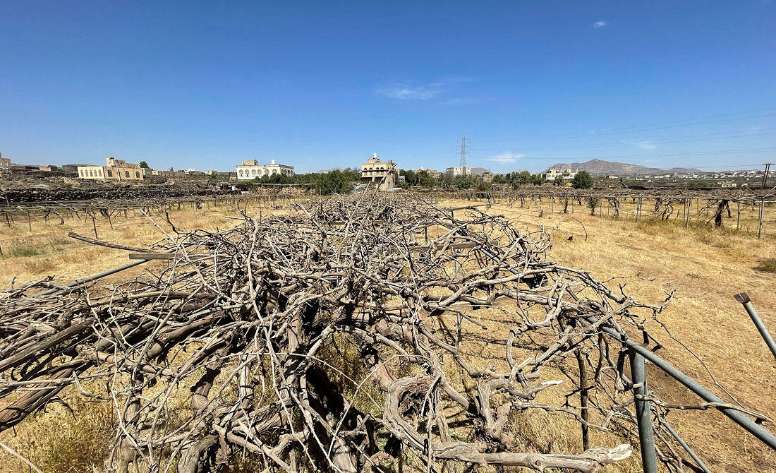 كوارث اليمن البيئية