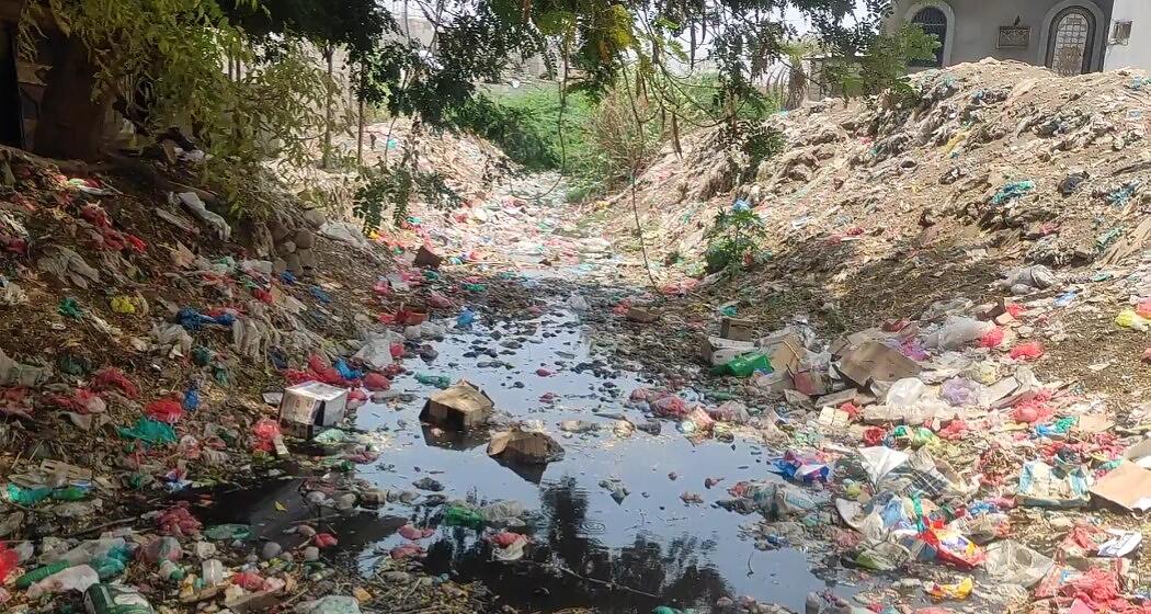 IMG-20241208-WA0028(2)