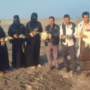 الهيئة العامة لحماية البيئة تنقذ سلاحف بحرية وتؤكد أهمية الحفاظ على التوازن البيئي