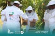 لحج.. اختتام برنامج تدريبي لـ 21 متدرباً في "تربية النحل" ضمن مشروع "أغنوهم عن السؤال"