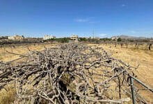 كوارث اليمن البيئية