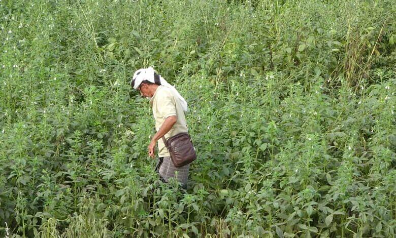 WhatsApp Image 2024-11-21 at 7.03.28 PM