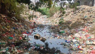 IMG-20241208-WA0028(2)